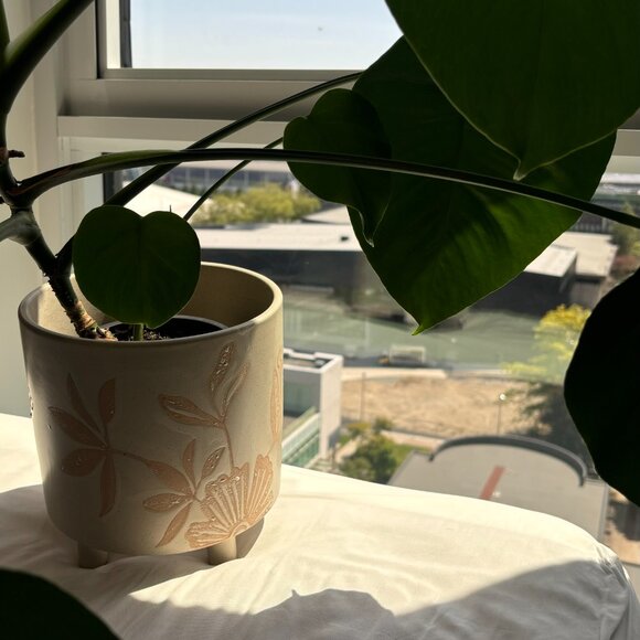 Textured Flower/Plant Pot - Picture 1 of 3